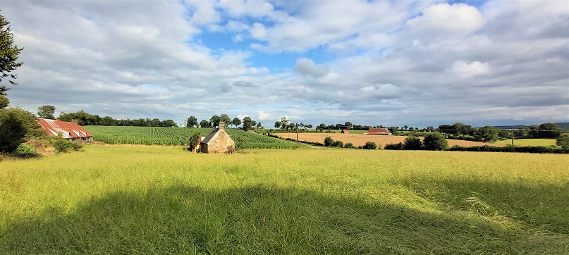 tiny house te huur